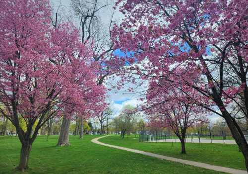 The Government's Role in Managing Public Parks and Recreation in Southeastern Michigan